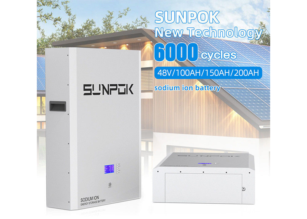自発放電率 月2% 耐久性のあるナトリウムイオン電池SP-48100-BG-NA