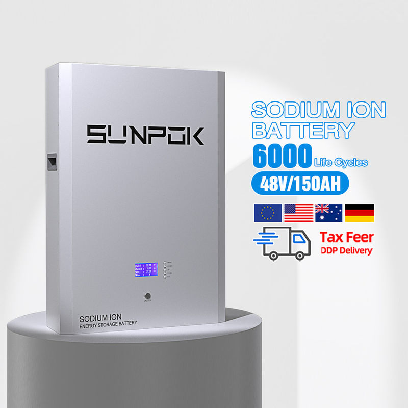 サステナブルナトリウムイオン電池 DIYナトリウム - イオン - アクセルバーバウエン放出率 1C BMS