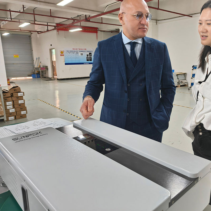 ソーラースタイルのリチウム電池のためのオールインワン家庭用電池貯蔵システム
