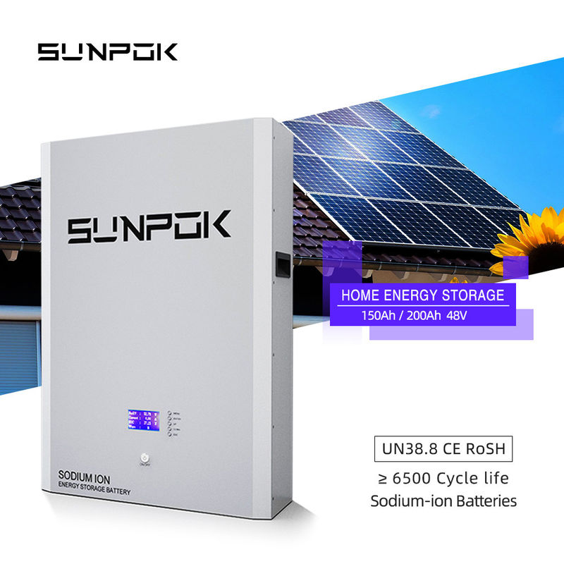 48V 5kwh ナトリウムイオン電池 ナトリウムイオン貯蔵電池 太陽光発電バンク パワーウォール ナトリウムイオン充電電池