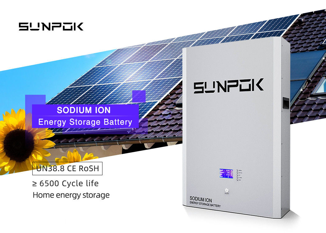 48V 10kwh ナトリウムイオン電池 ナトリウムイオン貯蔵電池 太陽光発電 壁電池 ナトリウムイオン 51.2V 200Ah 電池