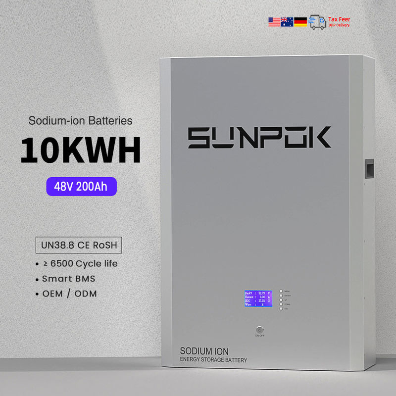 48V 10kwh ナトリウムイオン電池 ナトリウムイオン貯蔵電池 太陽光発電バンク パワーウォール ナトリウムイオン充電電池